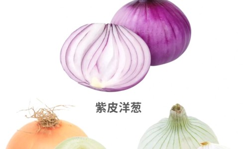 苏的药用价值-专业夜寒苏的药用价值平台-苏有什么功效